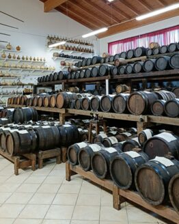 Tour Aceto Balsamico di Modena