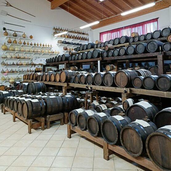 Tour Aceto Balsamico di Modena